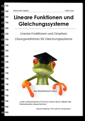 Lineare Funktionen und Gleichungssysteme