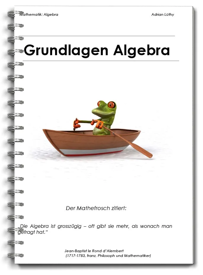 Grundlagen Algebra (alte Auflage)